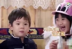 娱乐明星吃瓜八卦是谁说的,明星吃瓜八卦背后的真相