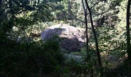 长春花溪谷最新爆料,隐秘仙境探秘，生态旅游新热点即将开启