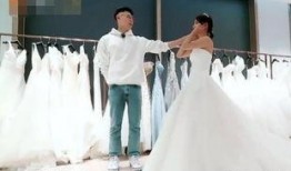 张嘉倪娱乐圈爆料事件,揭秘明星圈层真实内幕