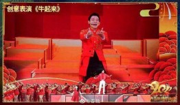 春晚在线观看,在线观看春晚的全新体验