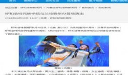 呼和浩特新闻爆料平台,聚焦城市动态，倾听民声心声