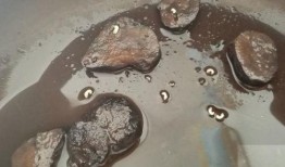 八重虫子爆料视频,内幕大曝光！