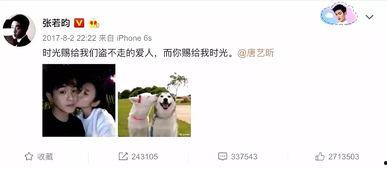 娱乐吃瓜酱遗憾,揭秘娱乐圈背后的心酸故事